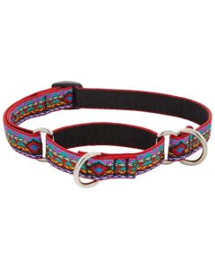 Lupine El Paso Martingale Combo Collar 1" X 19" - 27"
