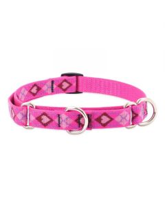 Lupine Puppy Love Martingale Combo Collar 1" X 19"-27"