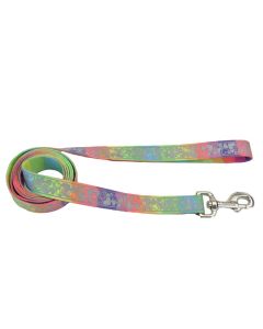 Coastal Lazer Brite Rainbow with Hearts Patterned Leash 3/8" x 6'