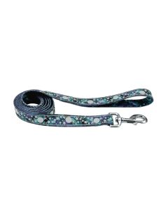 Coastal Lazer Brite Galaxy Patterned Leash 1" X 6'