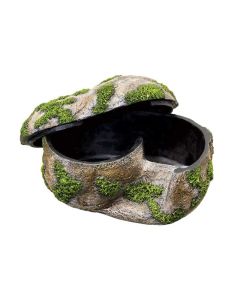 Zilla Rock Lair Medium