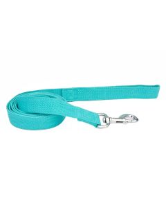 Coastal New Earth Soy Mint Dog Leash  5/8" X 6'