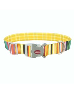 Coastal Sublime Stripes with Gold Plaid Collar 1.5" x 18"-26"