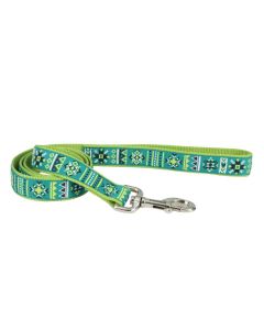Coastal Lime Southwest Star Pet Attire Ribbon Leash 5/8 x 6ft