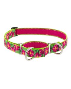 Lupine Petunias Martingale Combo Collar 1" x 19"-27"