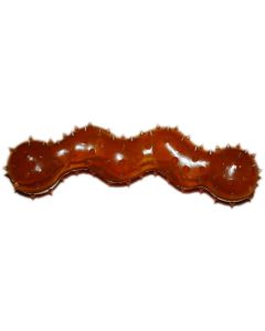Indipets All Natural Rubber Spikey Snake Dog Toy