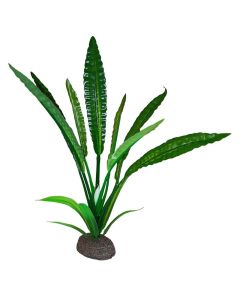 Fluval Betta Premium Water Trumpet Plant