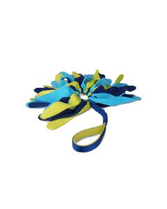 Coachi Tuggi Spider