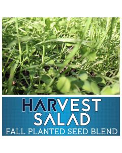 50# Harvest Salad