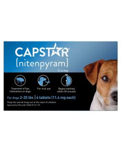 CapStar Flea Treatment for Dogs 2-25 lbs.