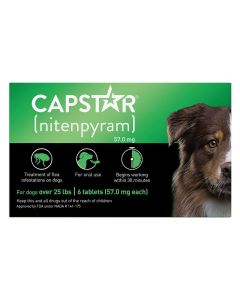 CapStar Flea Treatment for Dogs 25-125 lbs