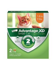 Advantage XD for Small Cats 1.8-9 lbs 2 Doses (4 Month Supply)