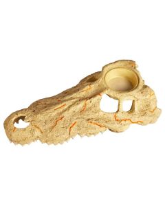 Zilla Rapid Sense Decor Large Crocodile