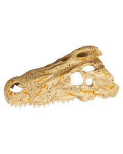 Zilla Rapid Sense Decor Medium Crocodile