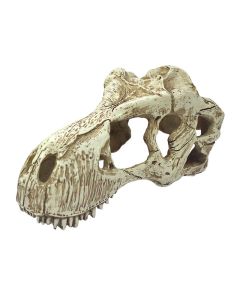 KOMODO T-REX SKULL HIDE