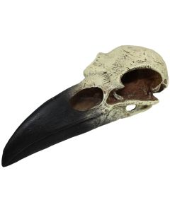 Komodo Raven Skull Hide