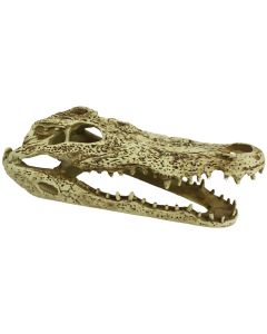 Komodo Alligator Skull Hide
