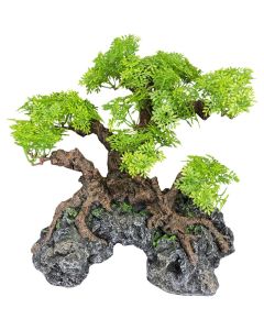 Komodo Bonsai Tree & Hide