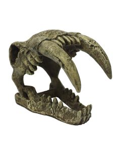Komodo Saber Tooth Skull Hide