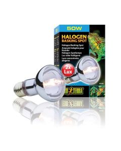 Exo Terra Halogen Basking Spot 50W