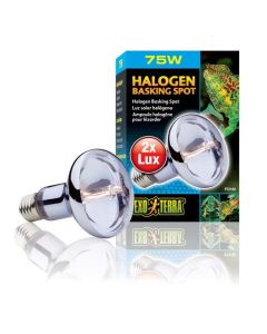 Exo Terra Halogen Basking Spot 75W