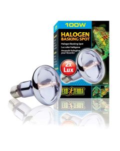 Exo Terra Halogen Basking Spot 100W
