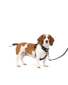 Easy Walk SM Harness Black