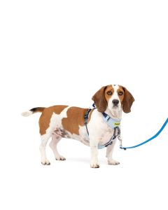 PetSafe Easy Walk Comfort No-Pull Dog Harness Blue Small 19-24"