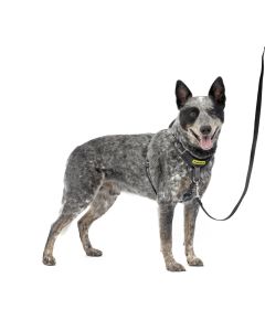PetSafe Easy Walk Comfort No-Pull Dog Harness Black Medium 24-34"