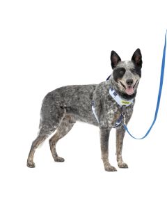 PetSafe Easy Walk Comfort No-Pull Dog Harness Blue Medium 24-34"