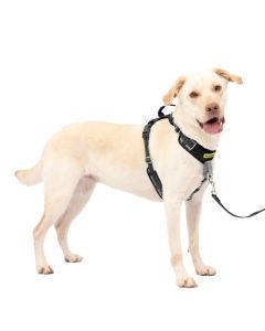 PetSafe Easy Walk Comfort No-Pull Dog Harness Black Large 30-42"
