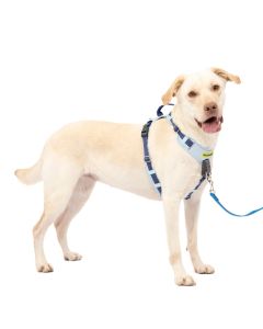 PetSafe Easy Walk Comfort No-Pull Dog Harness Blue Large 30-42"