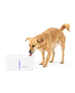 PetSafe Viva 140 oz Pet Fountain