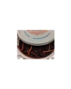 Feeder Redworms