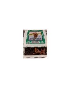 Feeder Night Crawlers