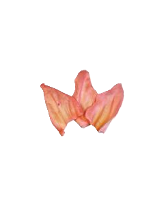 Cherry Dipped Cow Ear Dog Treat