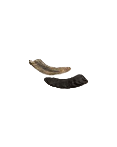 Icelandic+ Lamb Horn Dog Treat Small