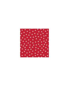Twinkle Stars Red Pet Triangle