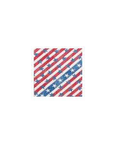 Americana Denim Pet Triangle