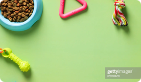 Aug is National Adopt A Pet Month!